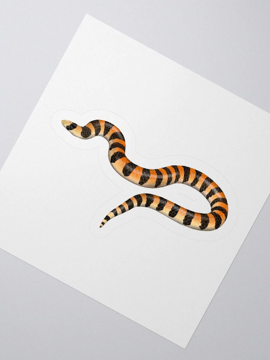 Die-Cut Sticker – Banded Sandsnake product image (2)