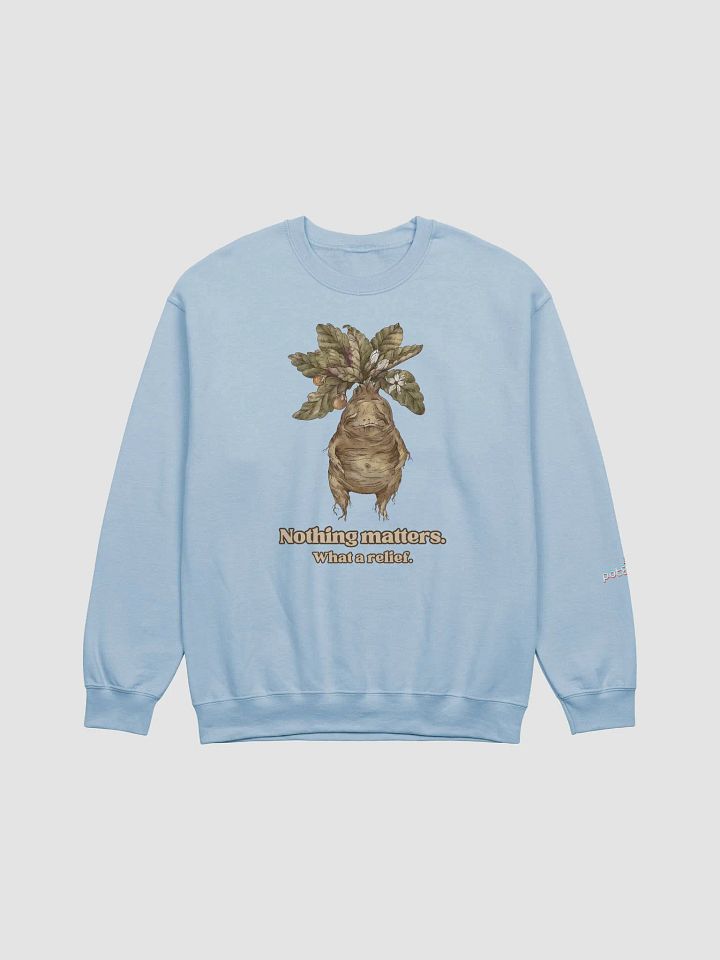 NOTHING MATTERS crewneck sweatshirt product image (25)