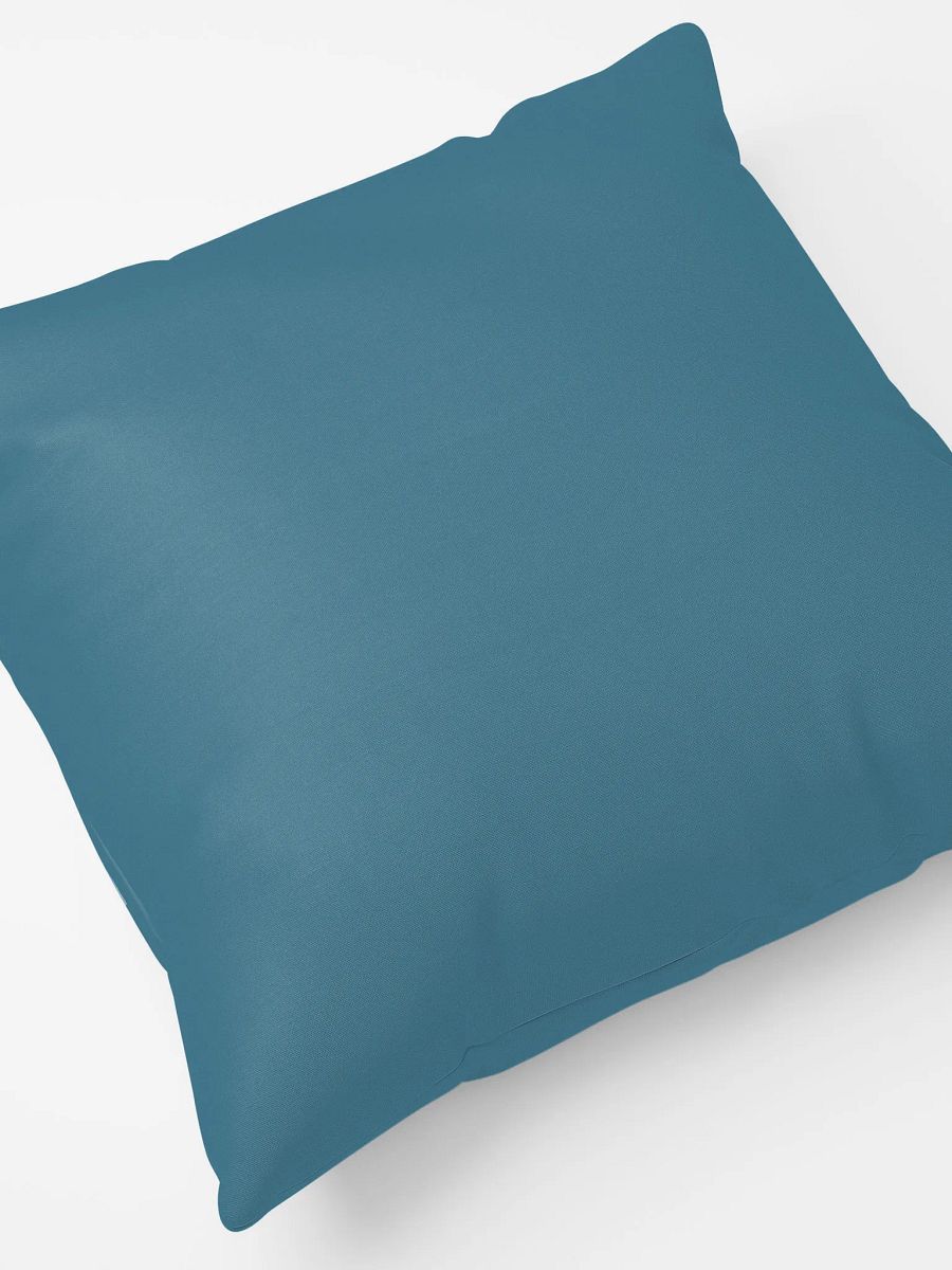 Strength for Today & Bright Hope for Tomorrow Pillow product image (8)