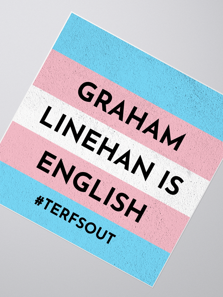 GL is English - TERFS OUTS sticker product image (5)