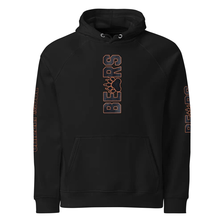 Grizzly Mode Eco-Friendly Bears Pullover Hoodie | NFL Home Locker product image (1)