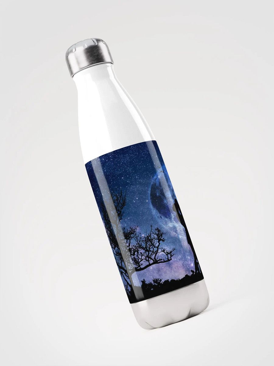 Starry Embrace Stainless Steel Water Bottle product image (5)