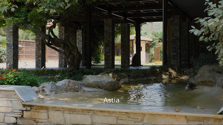 Fujify [F-Log, F-Log2, F-Log2 C] 3D LUTs product image (2)