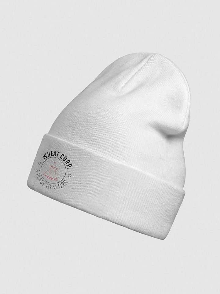 Generic Beanie product image (4)