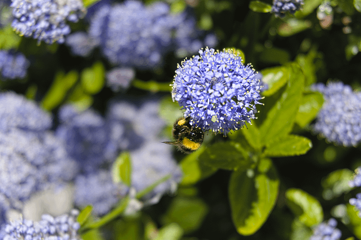 Hanging In Motion product image (1)