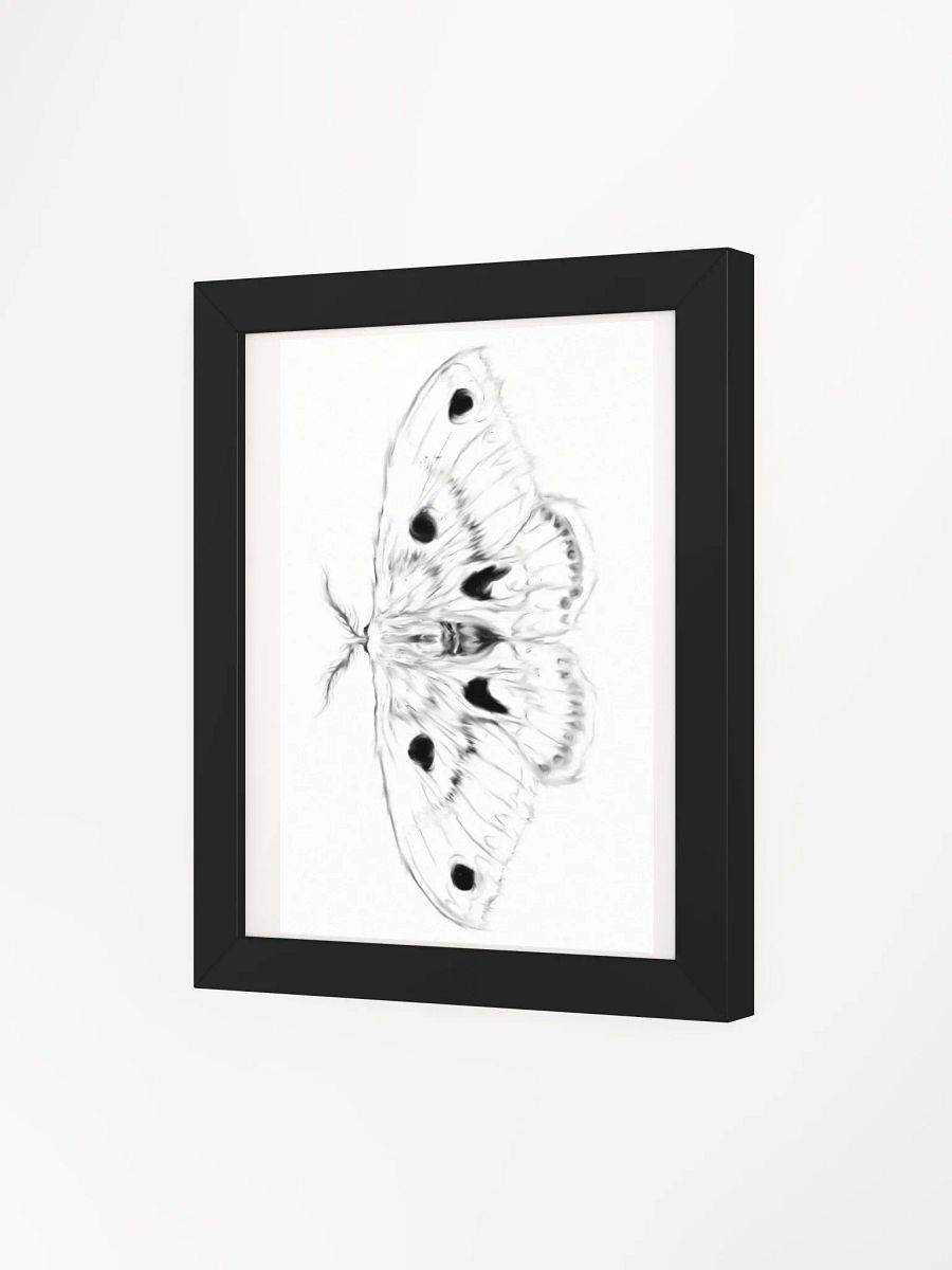 Cecropia Moth Print product image (10)