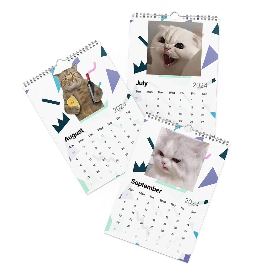 Wall Calendar (2024): Meme Cats product image (11)