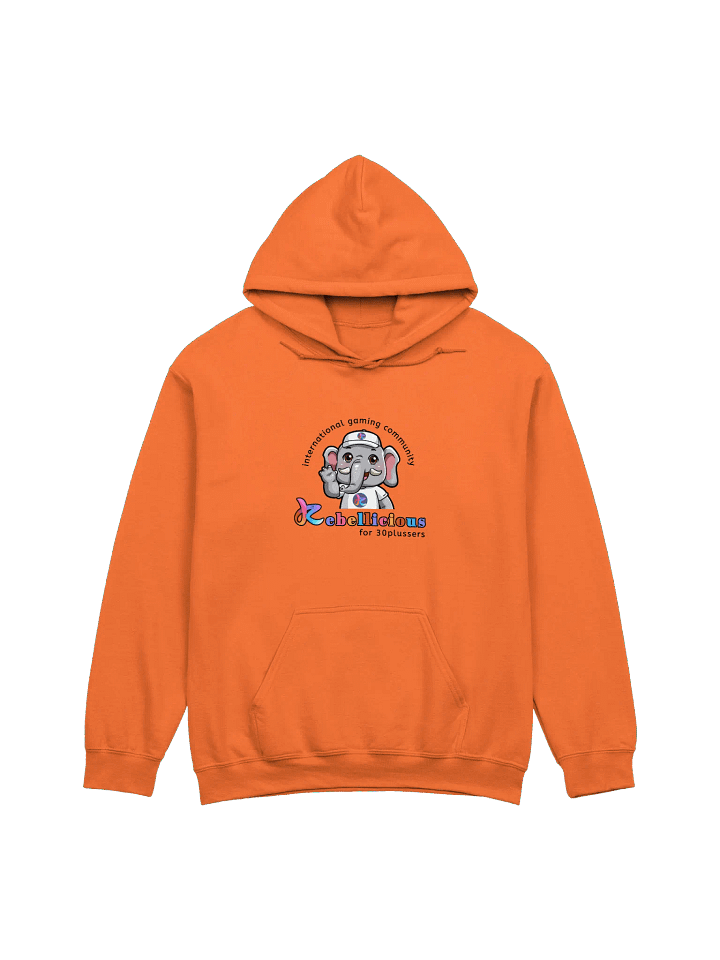 Gildan Classic Hoodie product image (2)