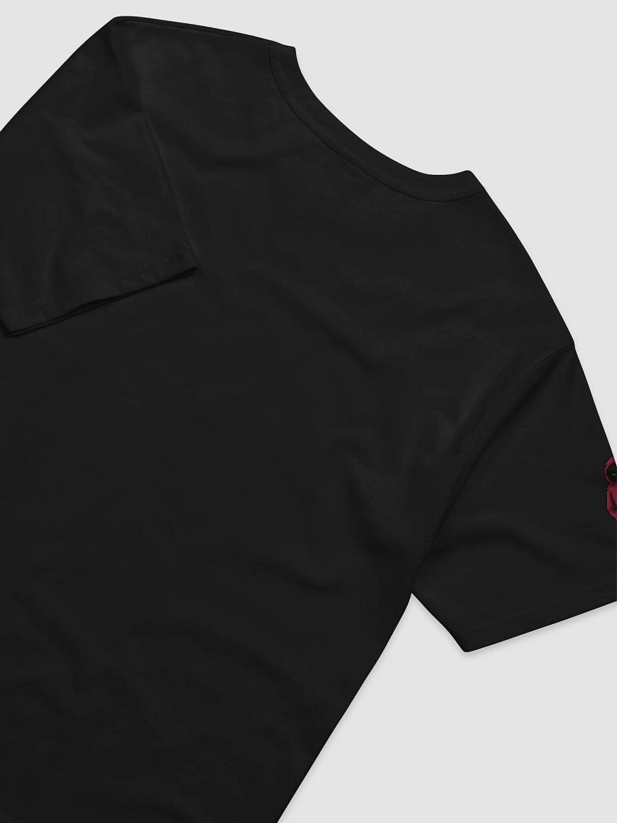 Champion and DP T-shirt product image (26)