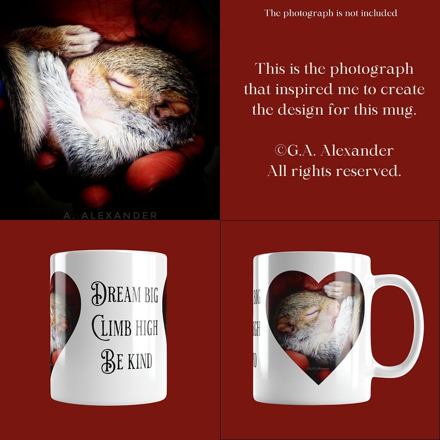 Baby Squirrel Wildlife Photography Mug product image (1)