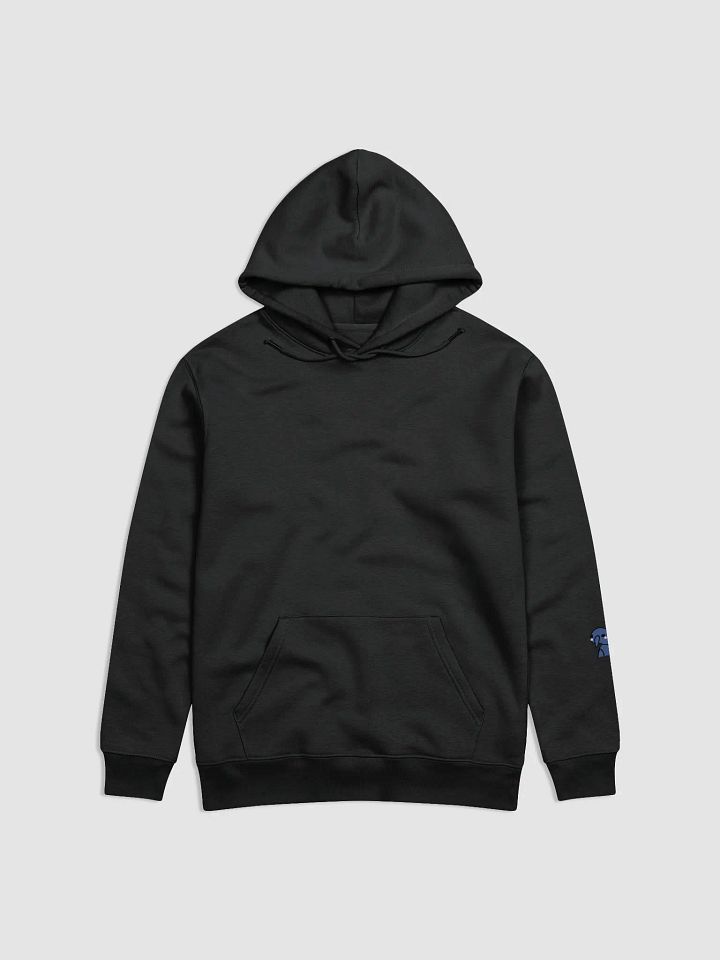 BlushSki Essential Eco Hoodie product image (1)