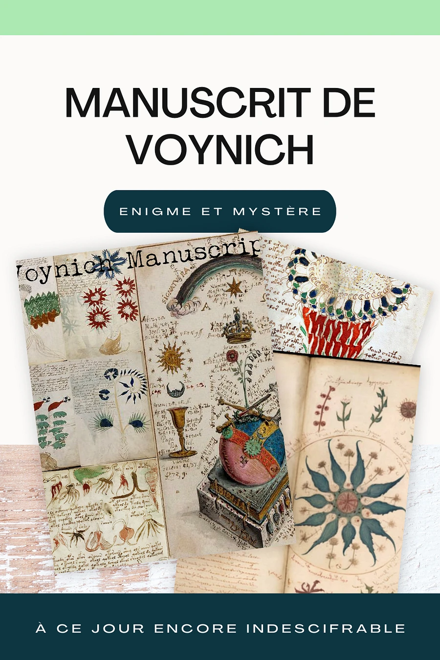 Manuscrit VOYNICH product image (1)