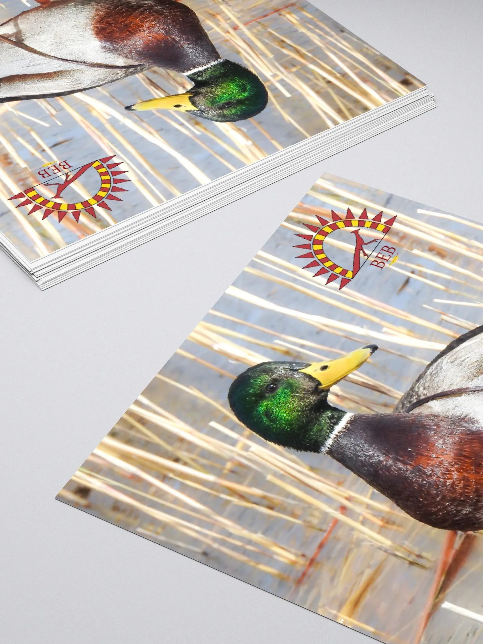 Bright-Eyed Birding Sticker (Mallard) product image (4)