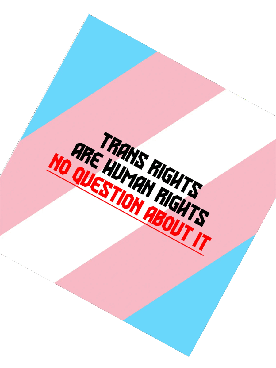 Trans Rights Kiss Cut Sticker product image (2)