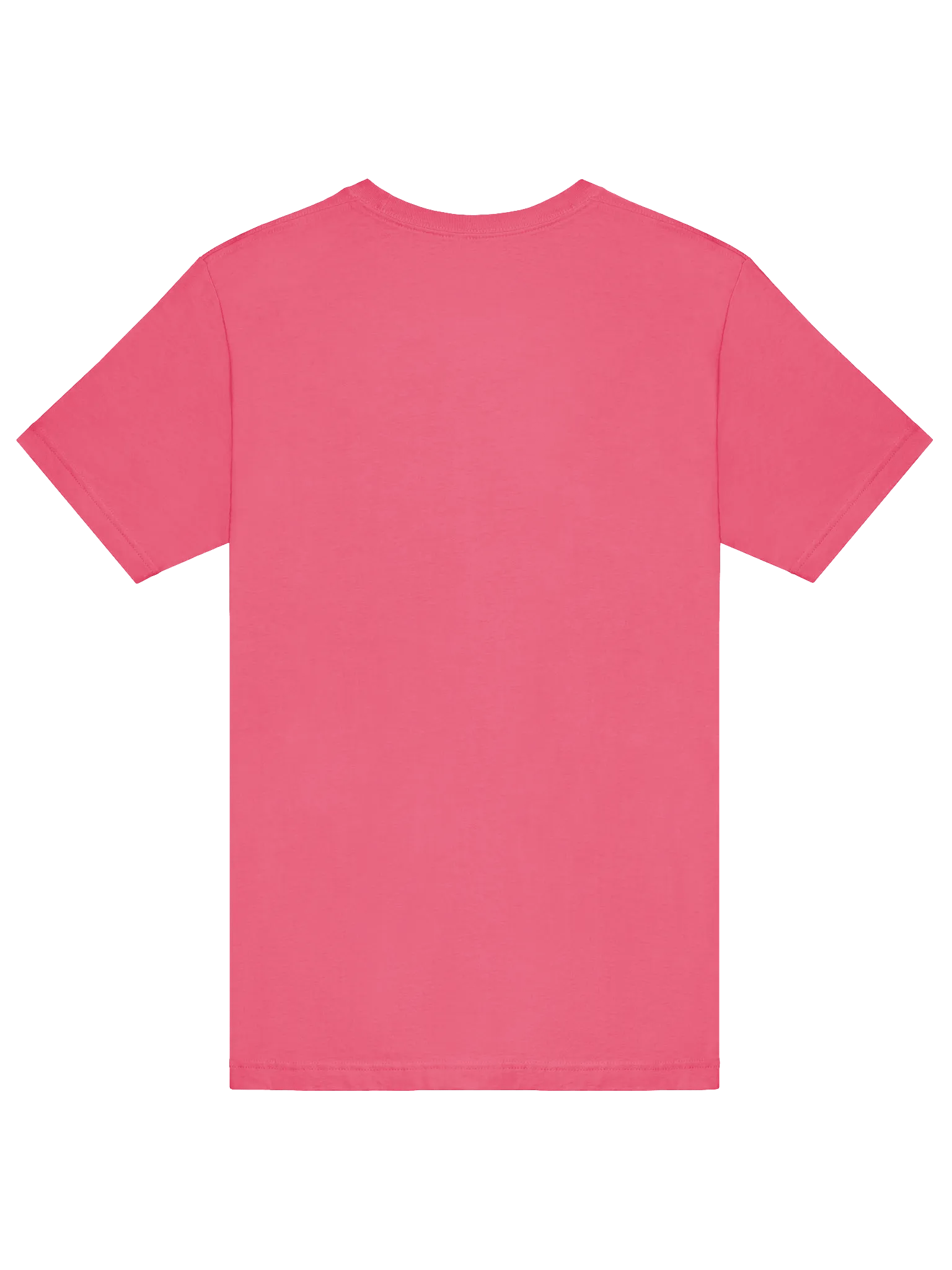 Loud and Proud Genderfluid T-Shirt product image (47)