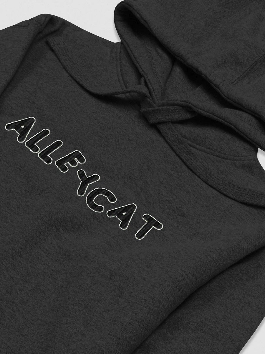 Alleycat Embroidered Hoodie product image (25)