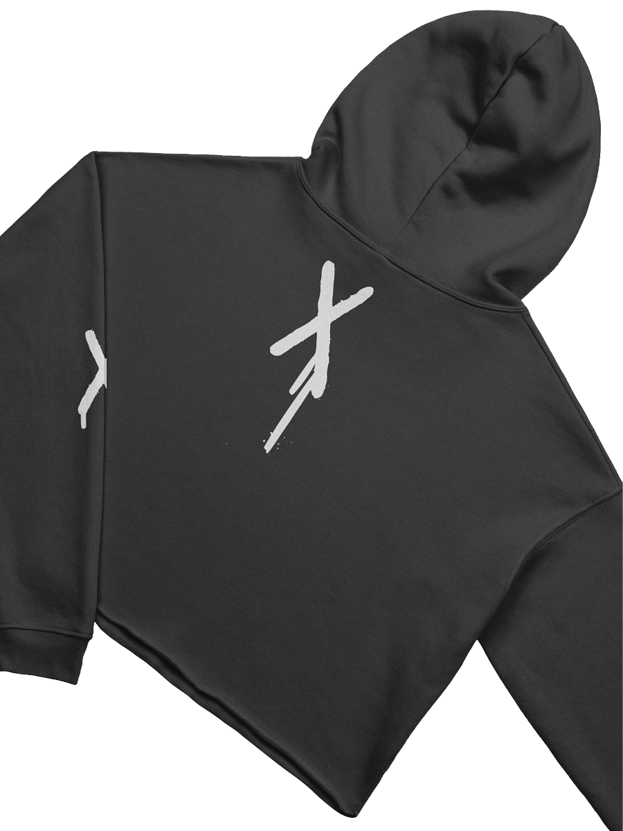 Graffiti Bear Long Sleeve Crop Hoodie product image (4)
