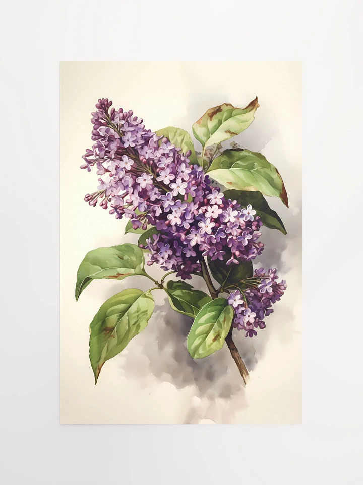 Springtime Lilac Bloom Poster: Classic Botanical Art for Nature-Inspired Decor Matte Poster product image (2)