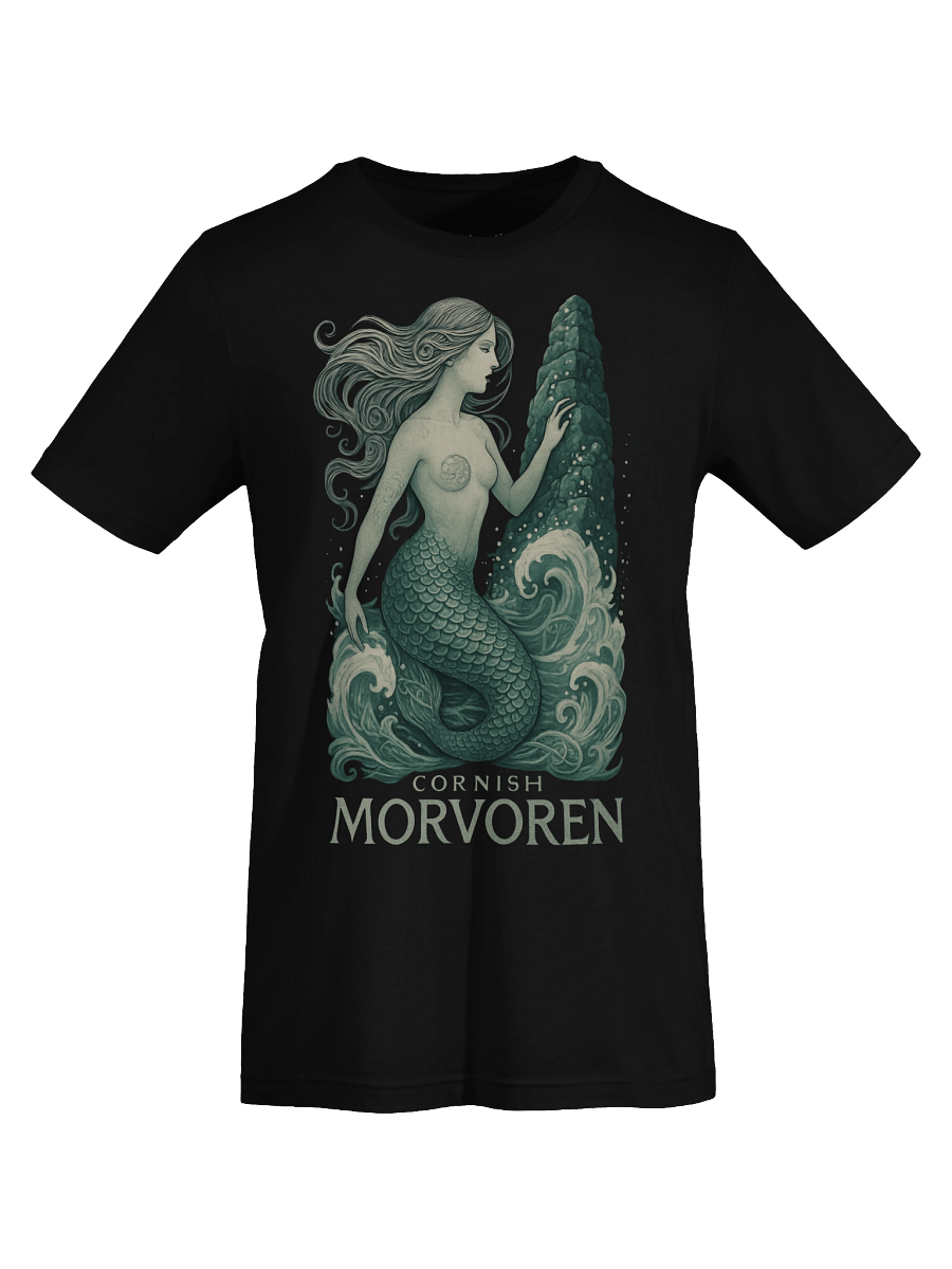 Cornish Morvoren Art Tee product image (7)
