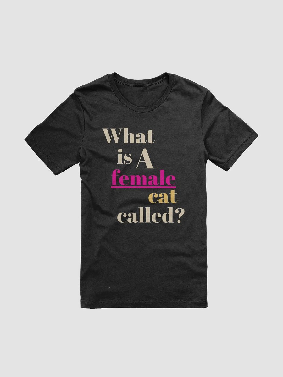 What a Female Cat Is Called" Bella + Canvas Supersoft T-Shirt product image (8)