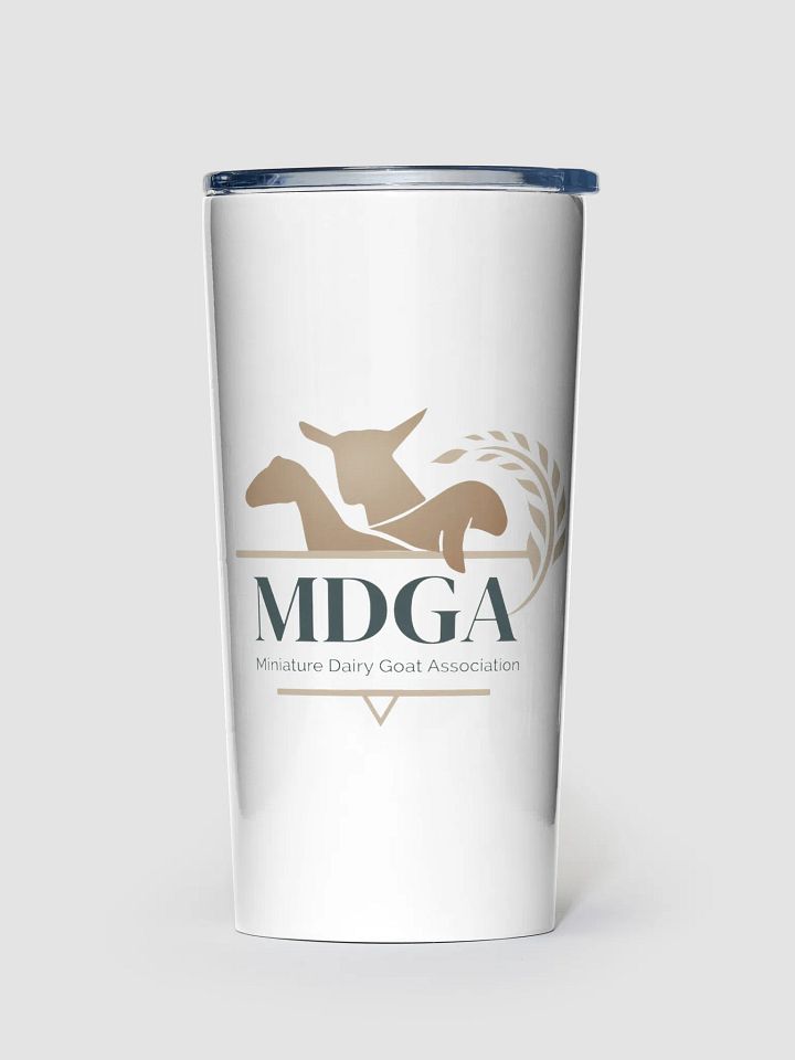 20oz Stainless Steel Tumbler product image (1)