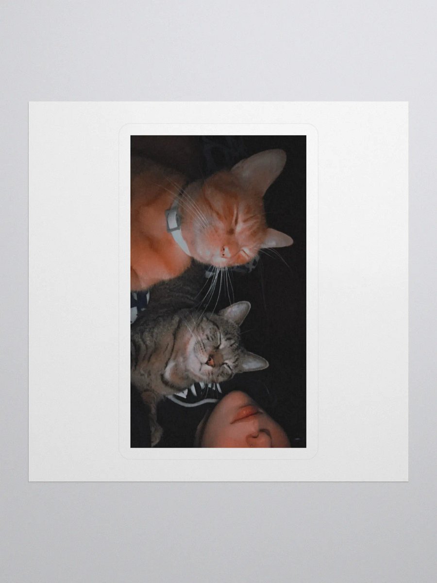kitty stickers product image (1)