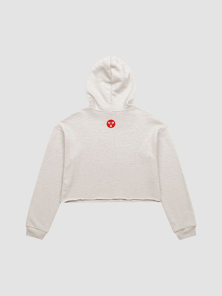 Bad Chemistry: Label Crop Hoodie product image (7)