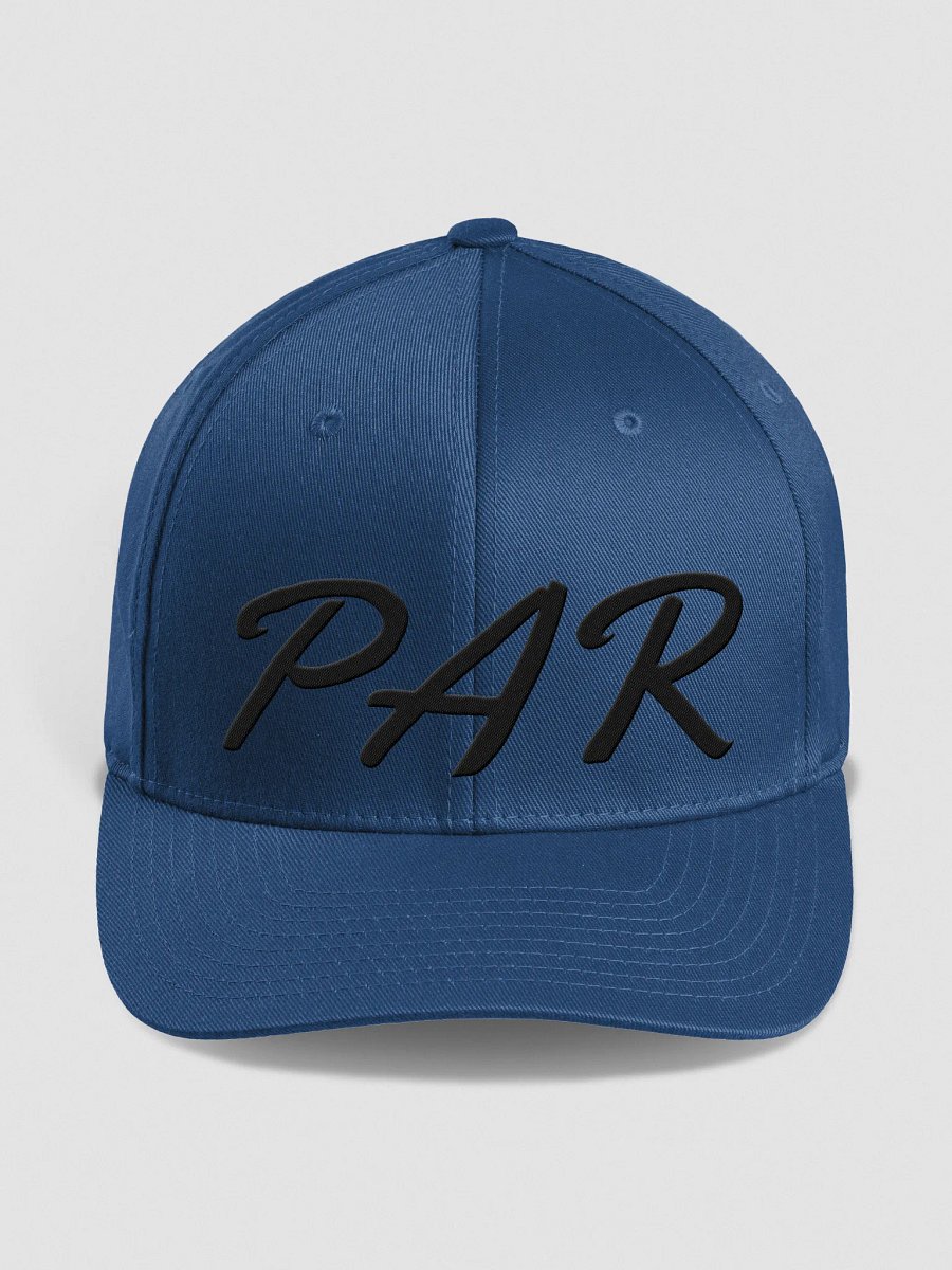 PAR flex-fit hat product image (3)