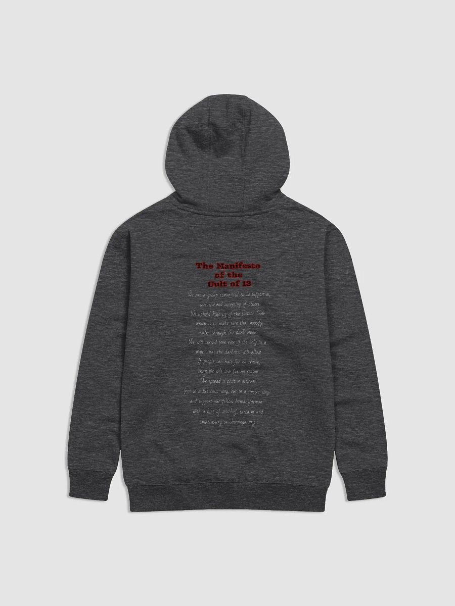 Manifesto Hoodie product image (5)