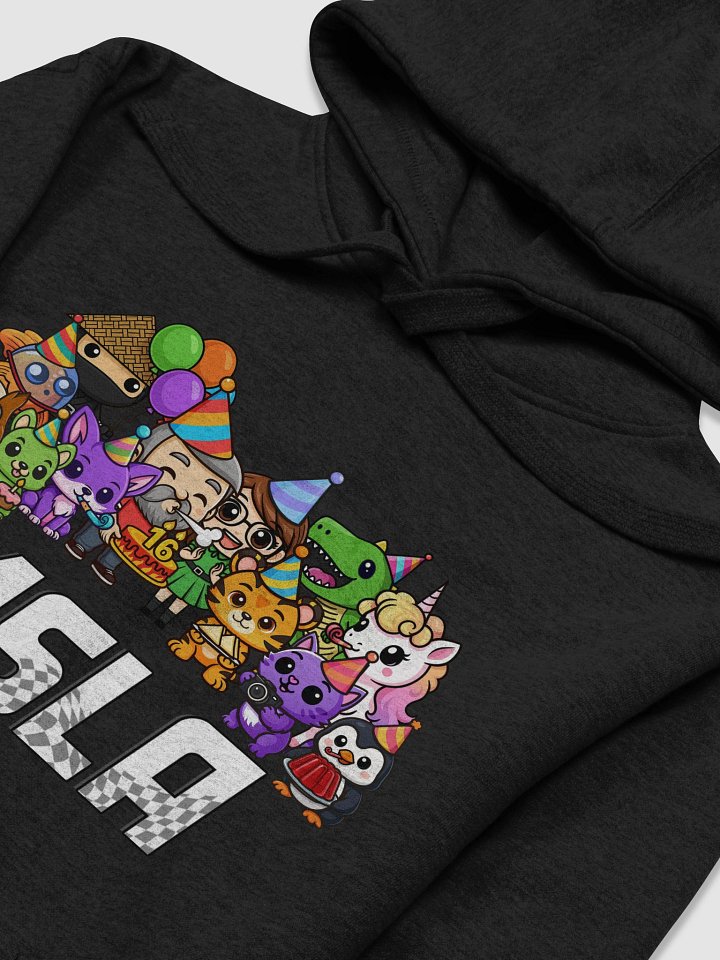 MSLA Sweet Sixteen - Hoodie product image (6)