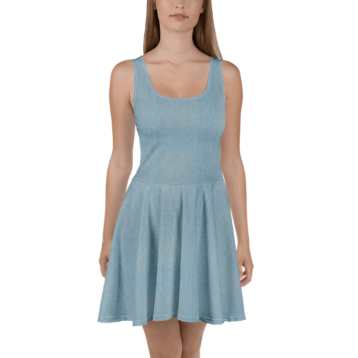 Denim Horizon Skater Dress product image (2)