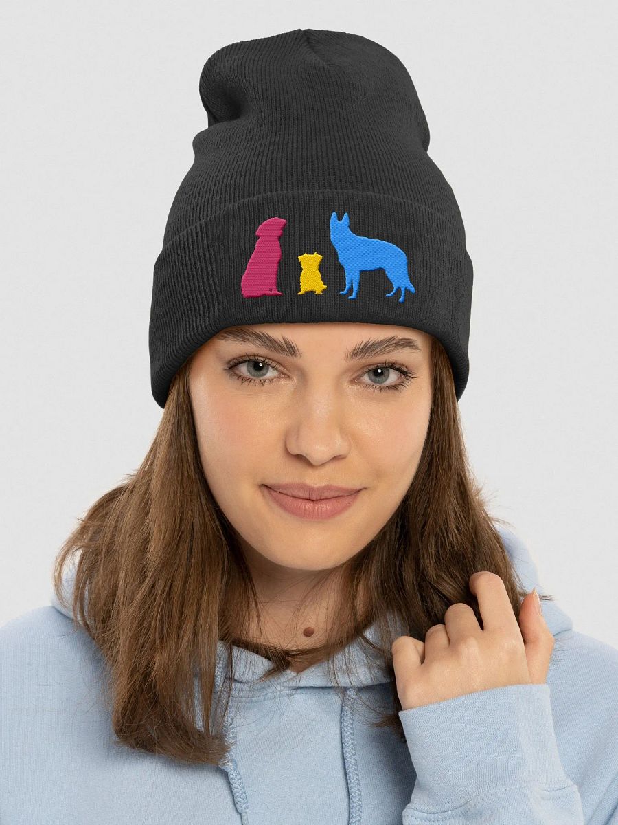 Pansexual Pride Dogs Beanie product image (19)