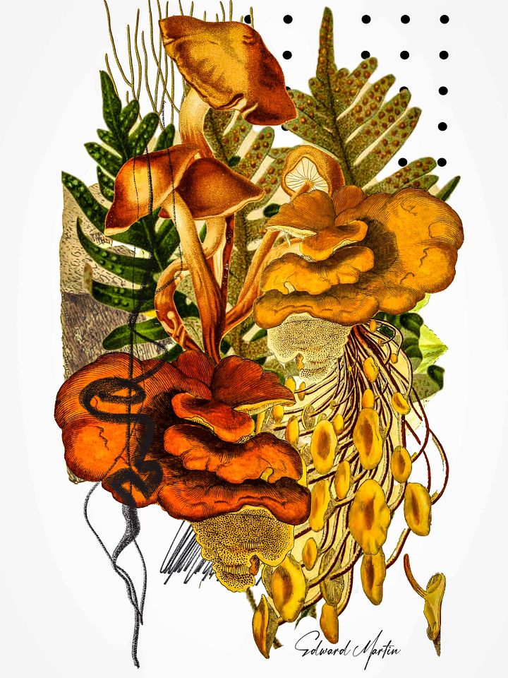 Woodland Collage Print by Edward Martin-Enchanted Foliage: Mushroom Collage Poster product image (1)