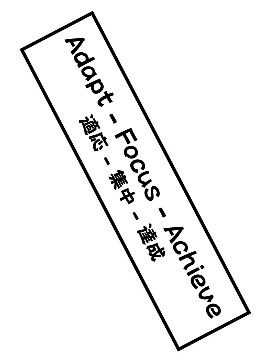 Adapt Focus Achieve product image (2)