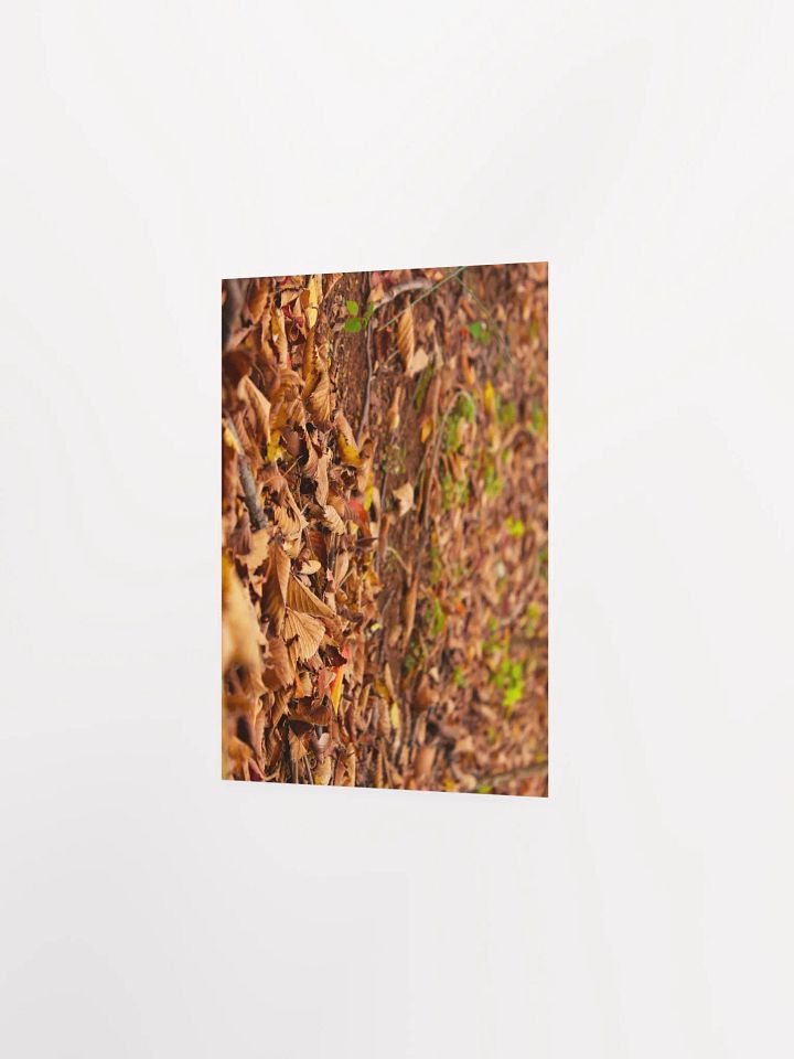 A Bed for Zagreus Dionysus product image (18)