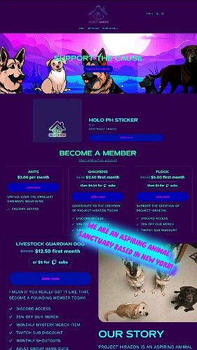 💜OUR WEBSITE💙

#farm #sanctuary #project #projecthiraeon #fyp #help #nonprofit #roadtononprofit #dogs #website #members #memb...