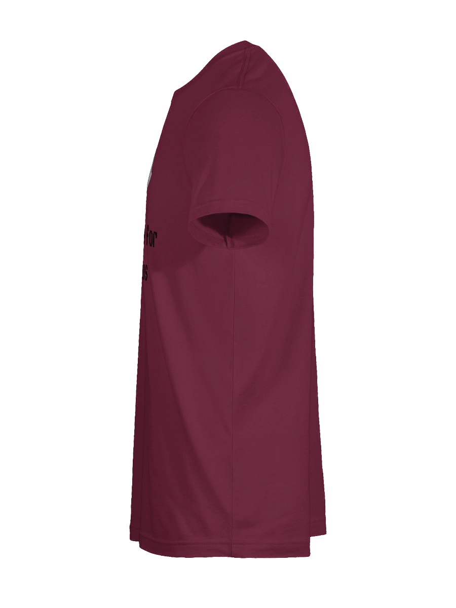 Just Here for the Boos Tee product image (113)