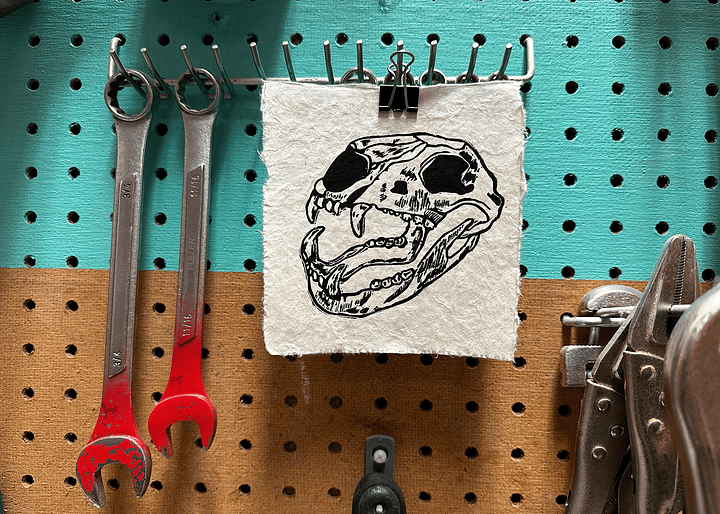 Bear Skull product image (2)