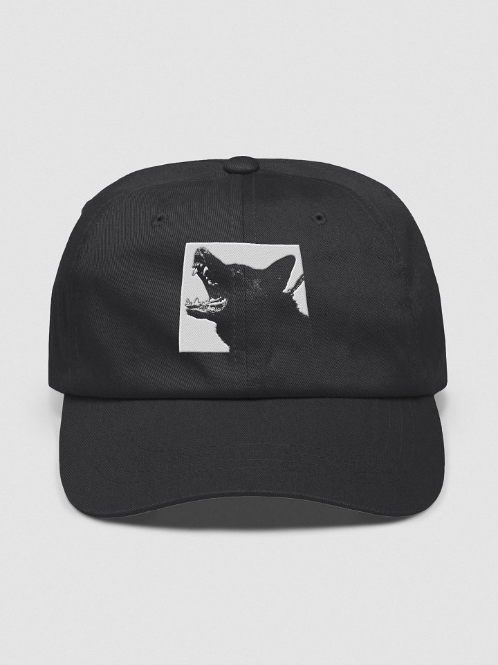 CHANCE - hat product image (1)