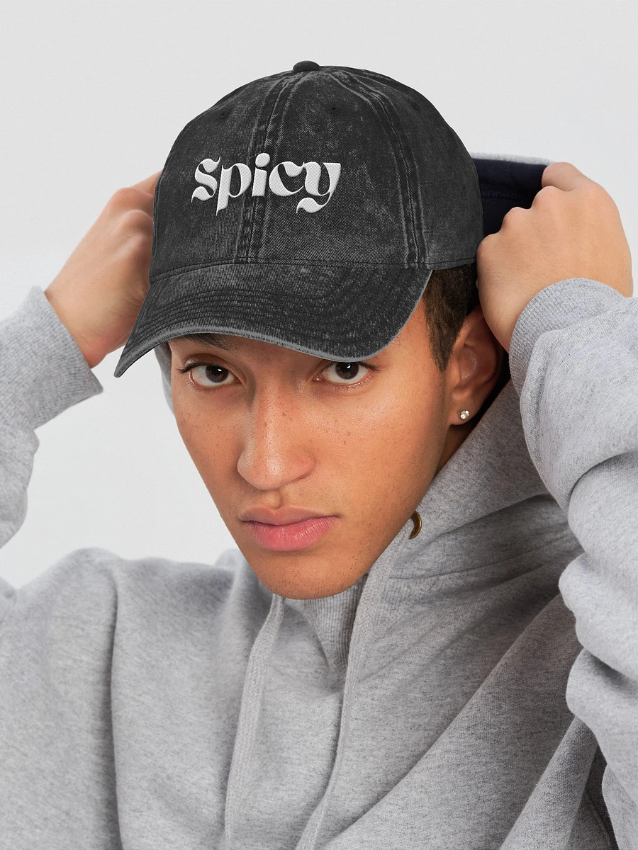 Spicy Vintage Wash Dad Hat product image (11)