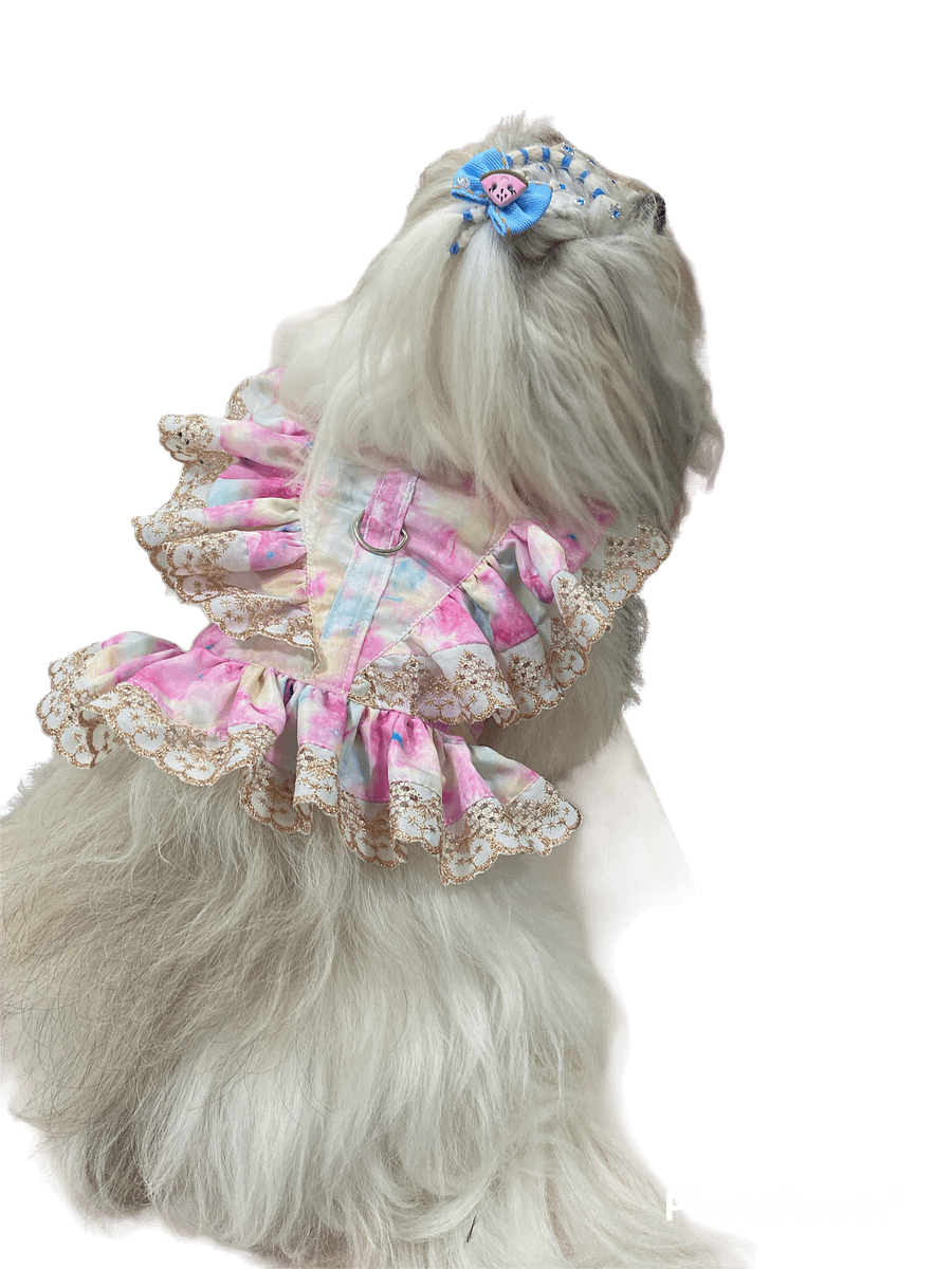 Peitoral Zayra - Modelagem Pet PDF product image (6)