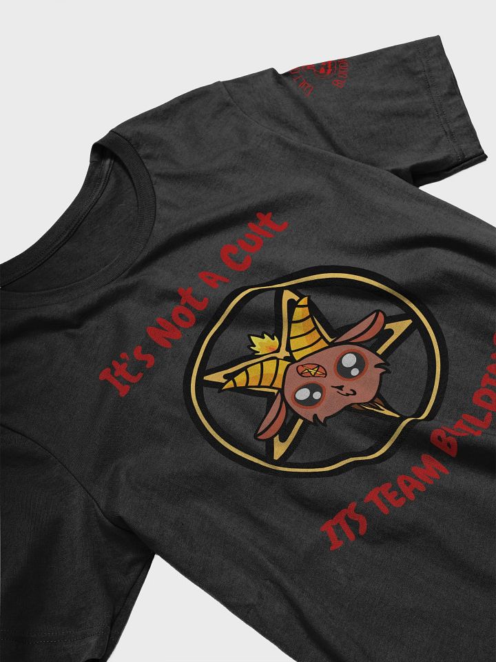 TeamBuilding_Tshirt product image (2)