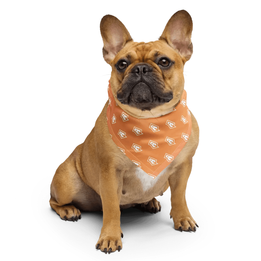 San Diego Bandana product image (4)