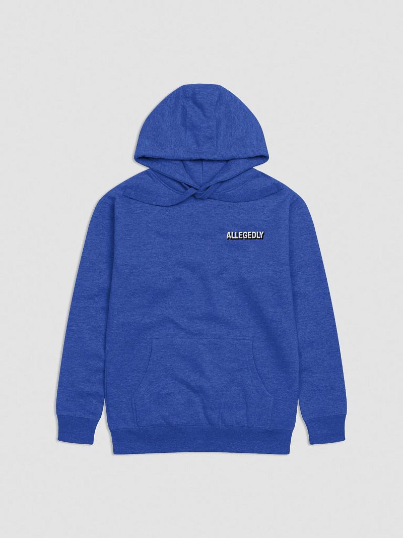 Allegedly Hoodie