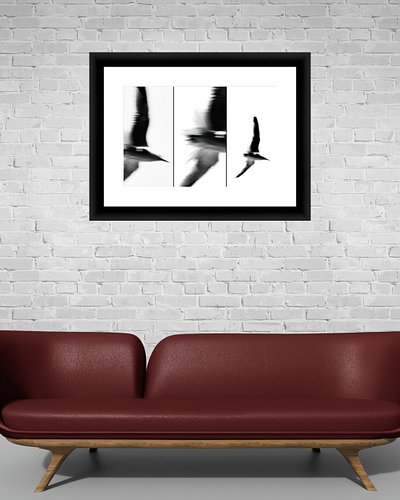 Gull Abstract
Available as Framed Prints, Canvas Prints, Metal Prints & Fine Art Prints! 
Many different frame styles & sizes...