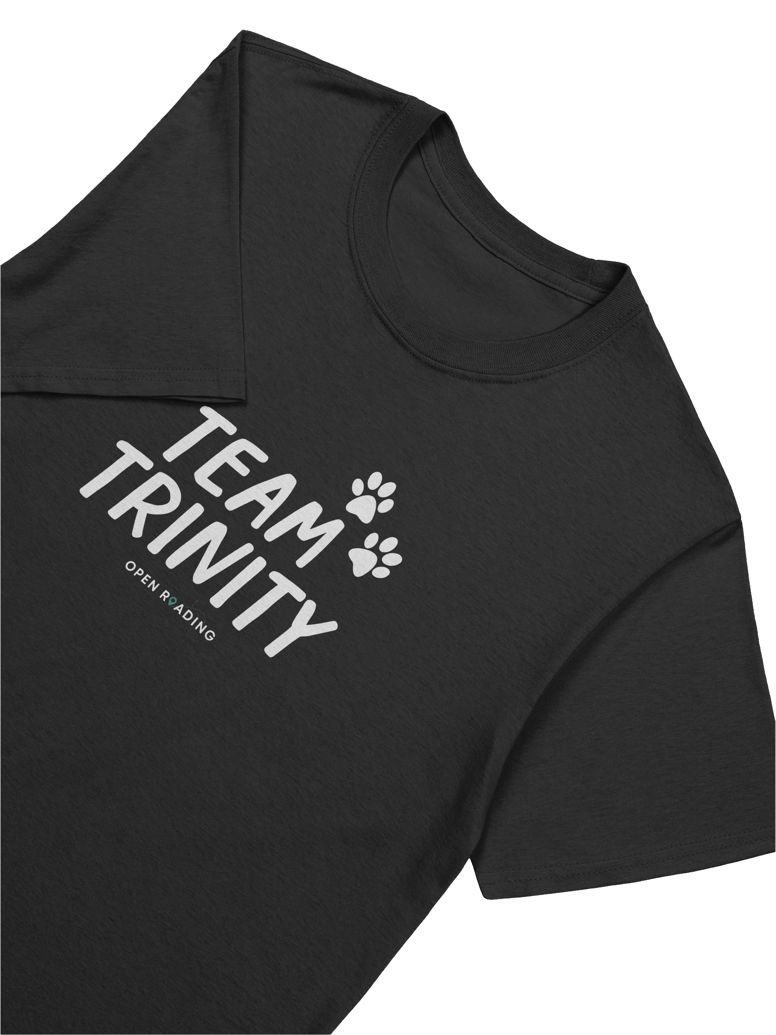 Team Trinity Adult-Sized Tee product image (7)