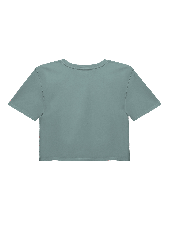 Casting Ratio Crop Tee! product image (18)