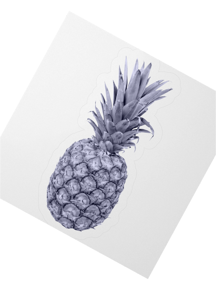 Monochrome Pineapple Sticker product image (4)