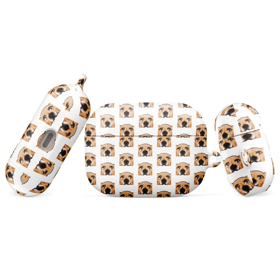 CoyBeg Airpods Pro Case product image (3)