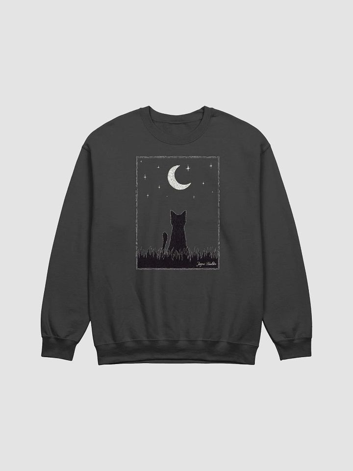 Stargazing Unisex Sweatshirt product image (1)